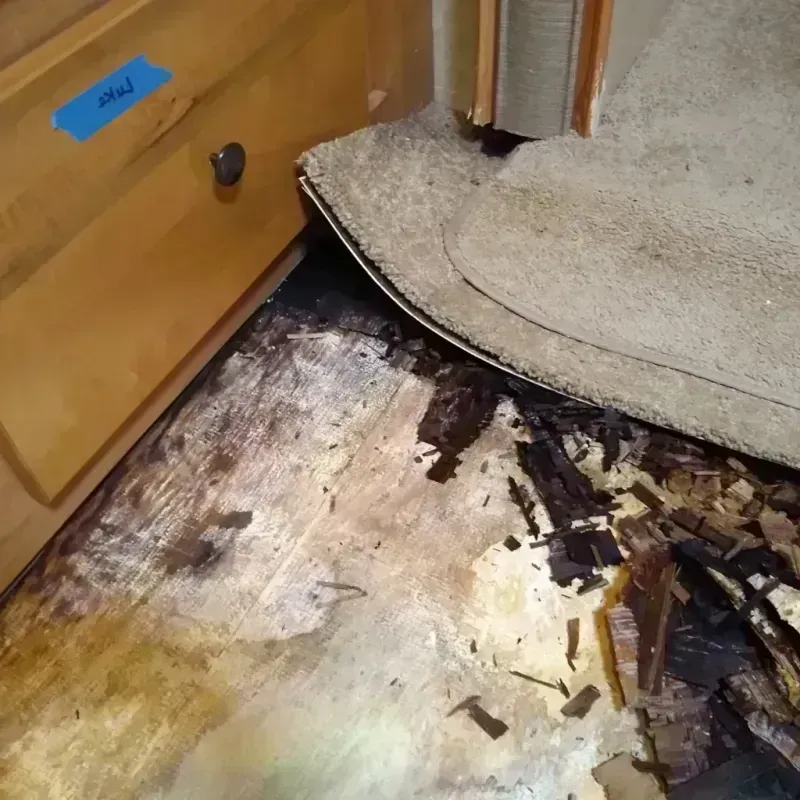 Best Wood Floor Water Damage Service in Siesta Acres, TX